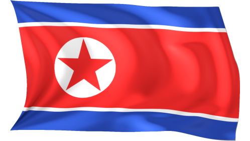 Looping Waving Flag North Korea