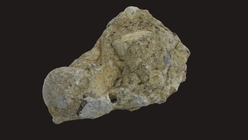 Concrete Chunk 5